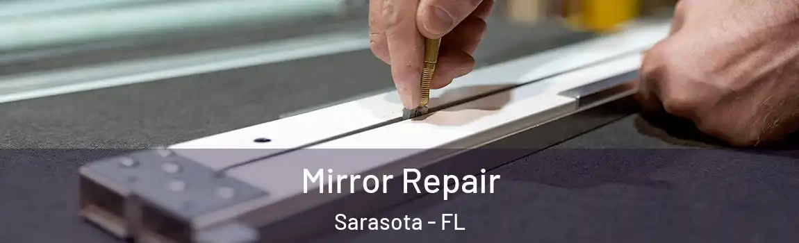 Mirror Repair Sarasota - FL