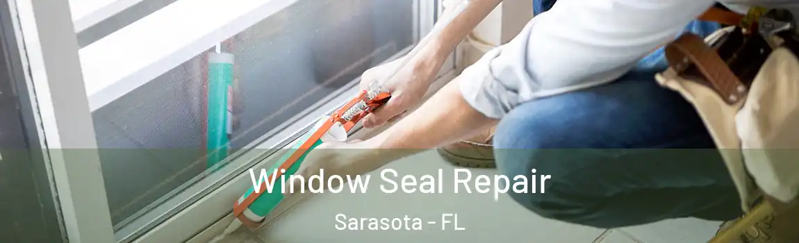 Window Seal Repair Sarasota - FL